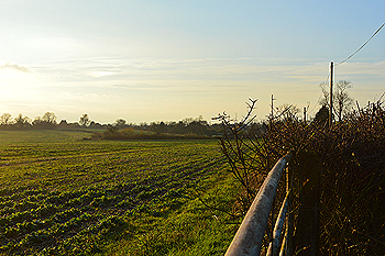 The land around Wingfield November 2014